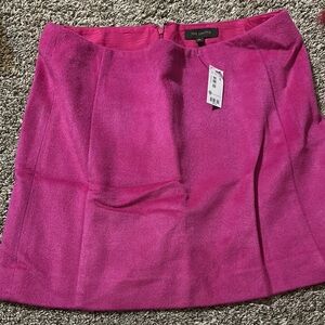 The Limited Pink Skirt